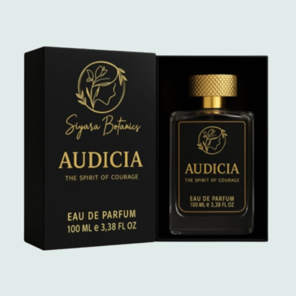 Audicai - The Sprit of Courage